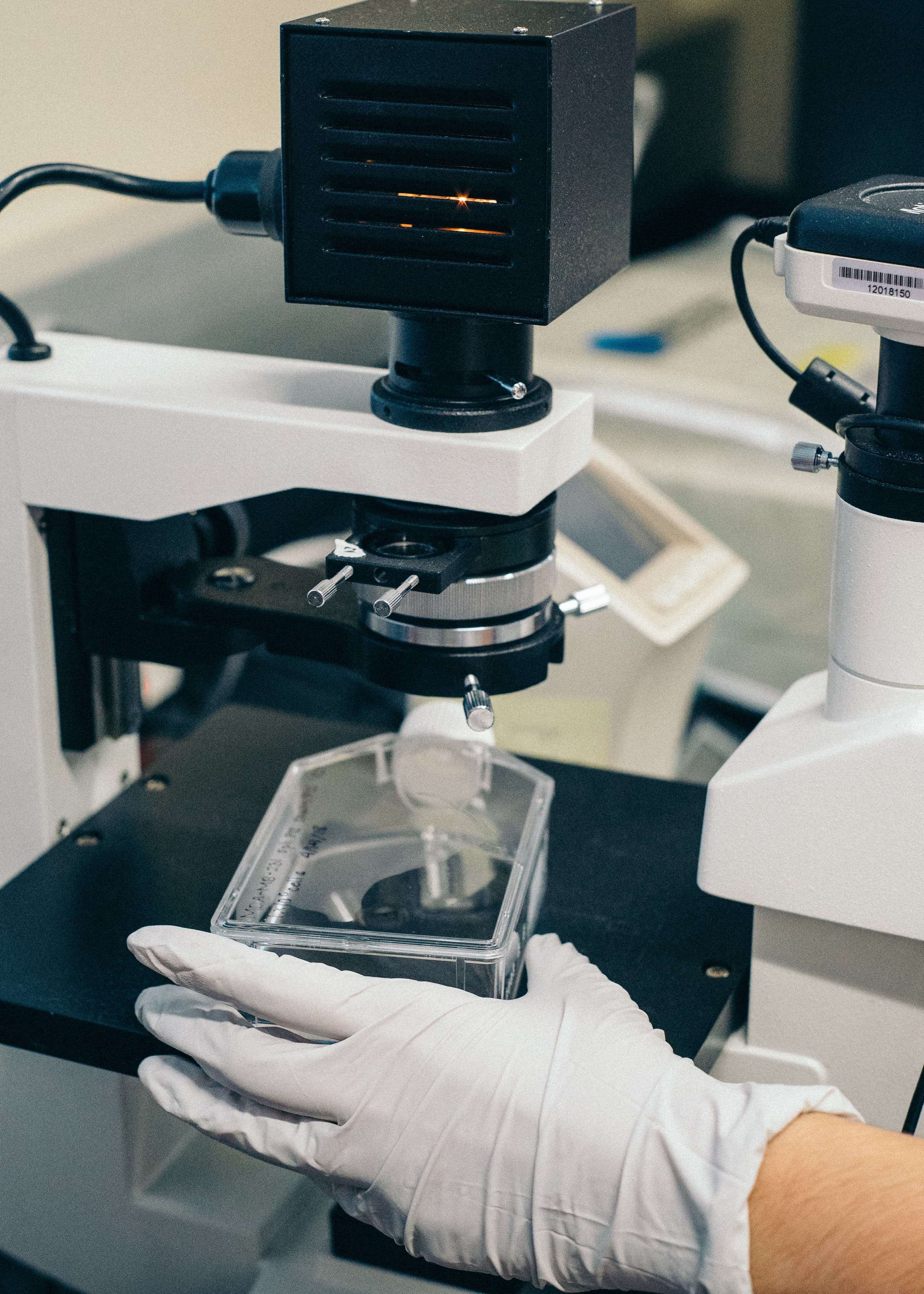 Person with gloves on microscope