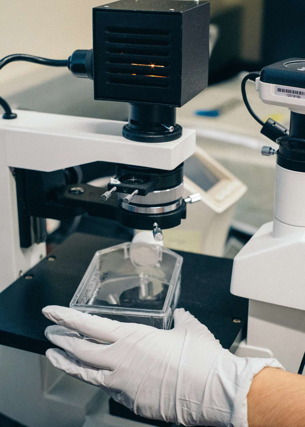 Person with gloves on microscope